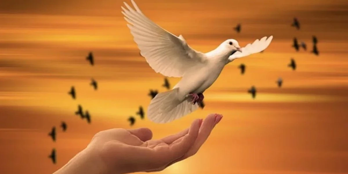 image about كيف تجد السلام النفسي والروحي في عالمٍ لا يتوقف عن الضجيج؟