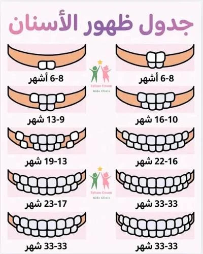 image about كيف تظهر أسنان طفلك من الرحم إلى الابتسامة؟
