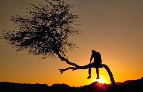 image about “السكينة ليست في أن تتغير الحياة... بل في أن تتغير نظرتك إليها.”