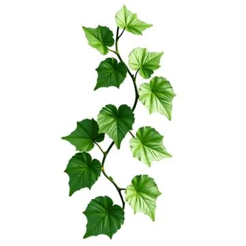 image about الورقة الاخيرة (The Last Leaf)