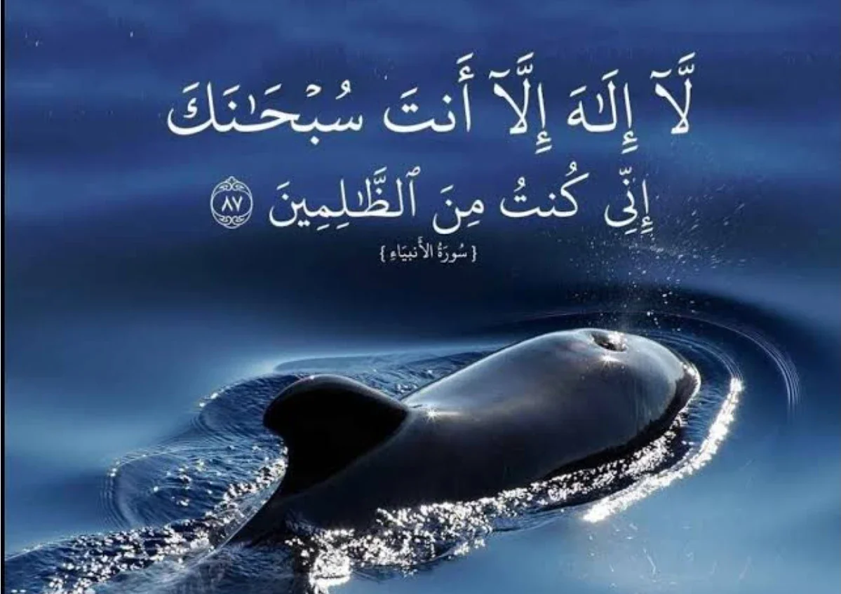 image about يونس عليه السلام