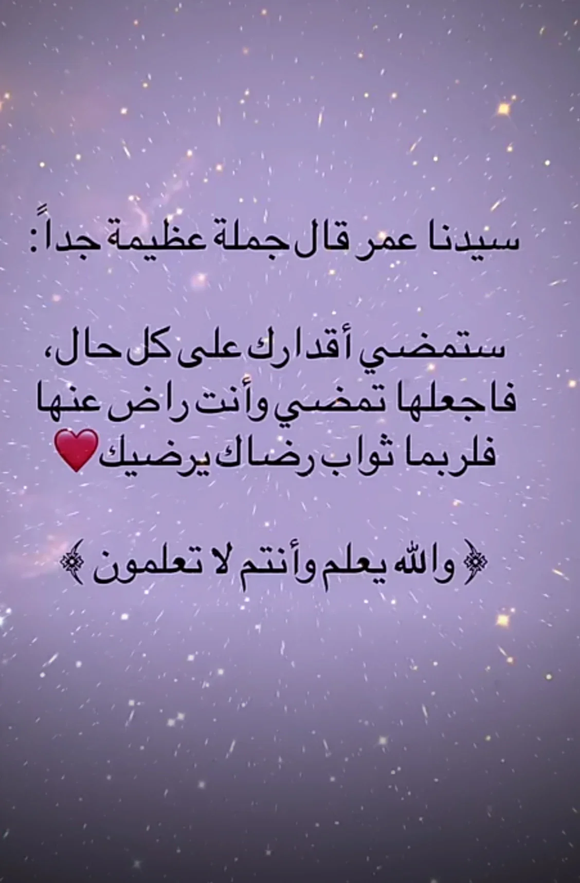 image about الدليل الشامل للتقديم على منحة الحكومة الصينية لعام 2026: الشروط والخطوات