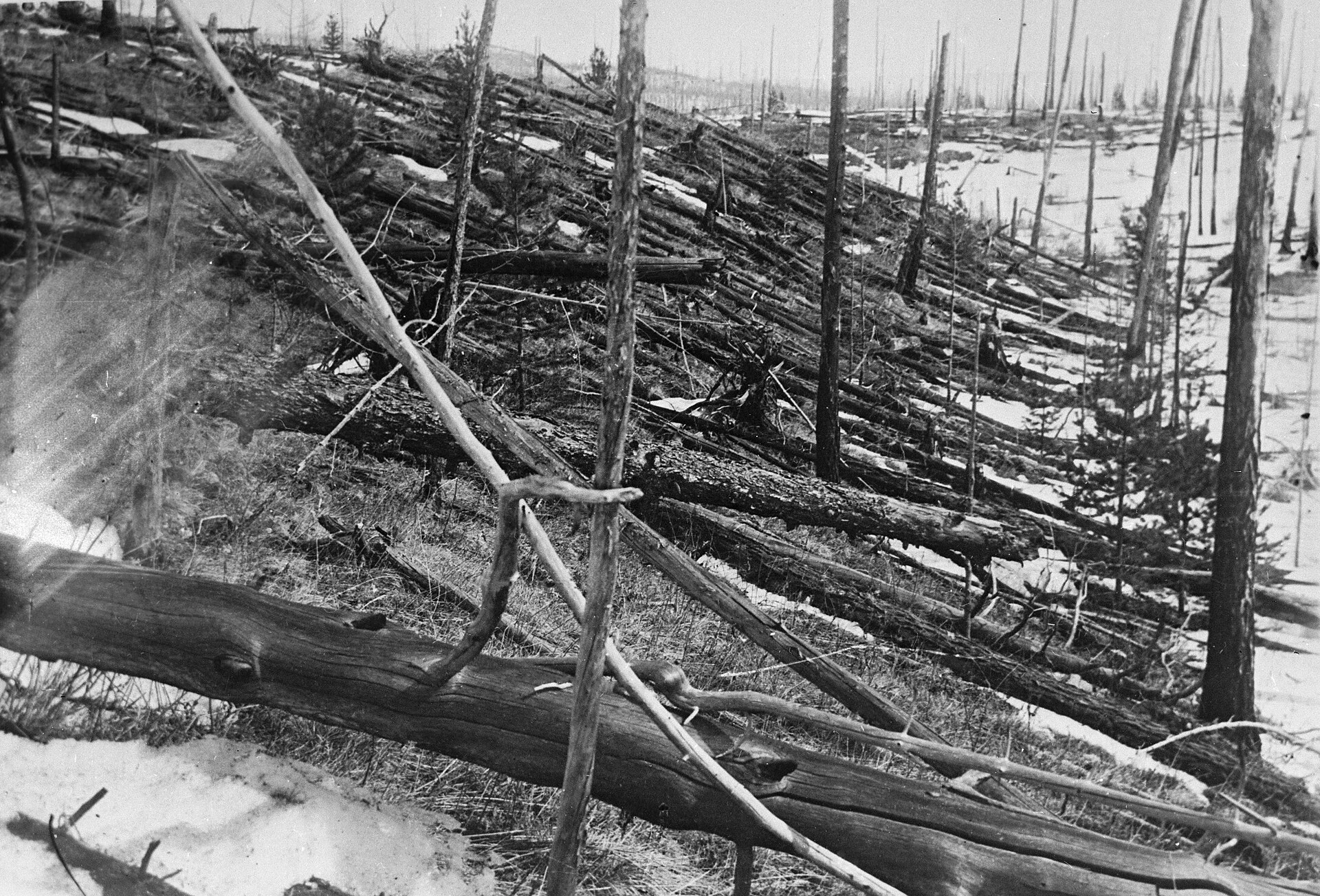 image about ظاهرة غريبة في التاريخ: انفجار تونغوسكا 30 يونيو 1908.. اليوم الذي اهتزت فيه سيبيريا دون فوهة بركان