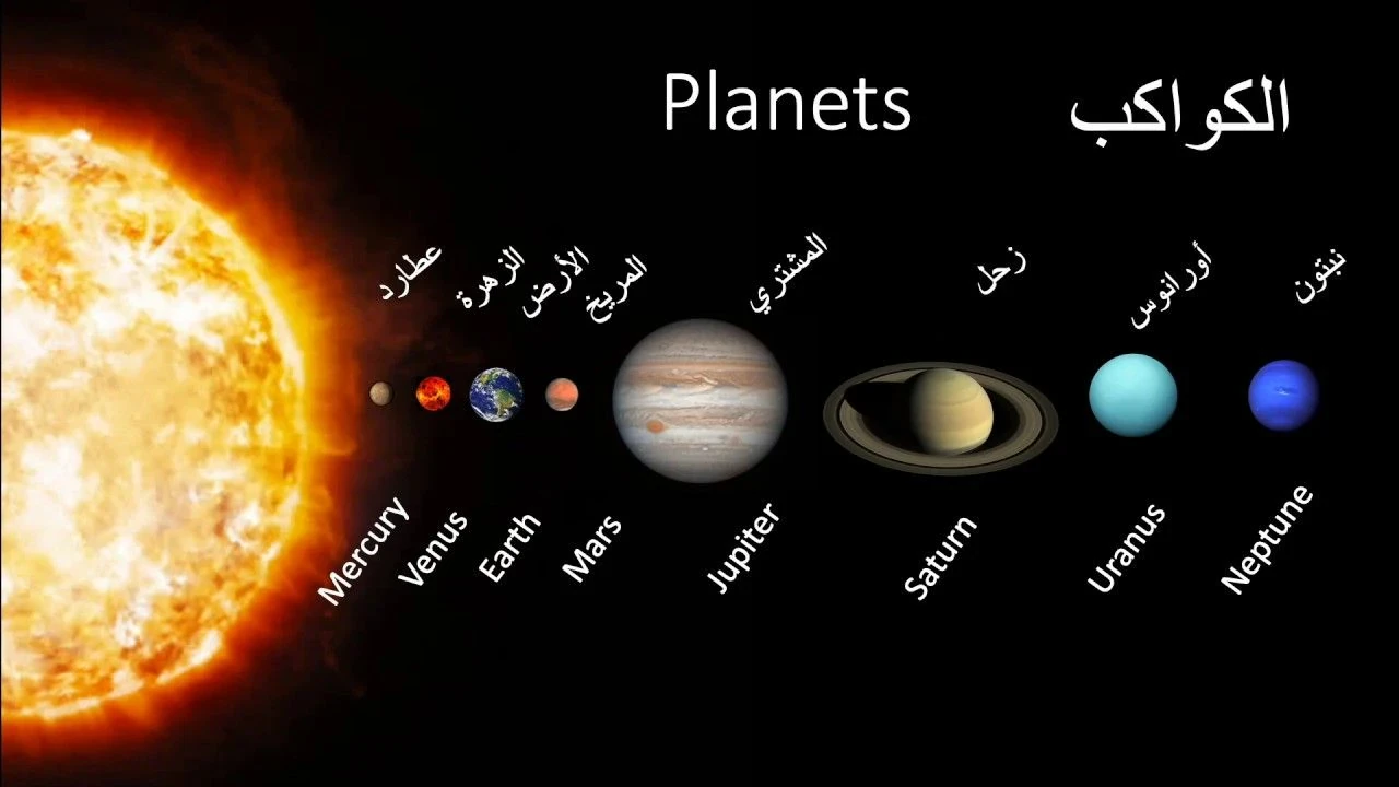 image about معلومات عامة غريبة ومدهشة هتفتح عقلك على حاجات تانية