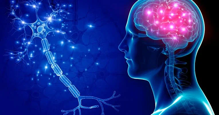 image about فوق مستوى التقنية: لماذا تقف التكنولوجيا الحديثة عاجزة أمام تكنولوجيا الخلق؟