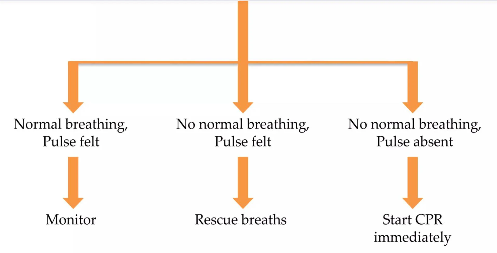 image about Adult basic life support