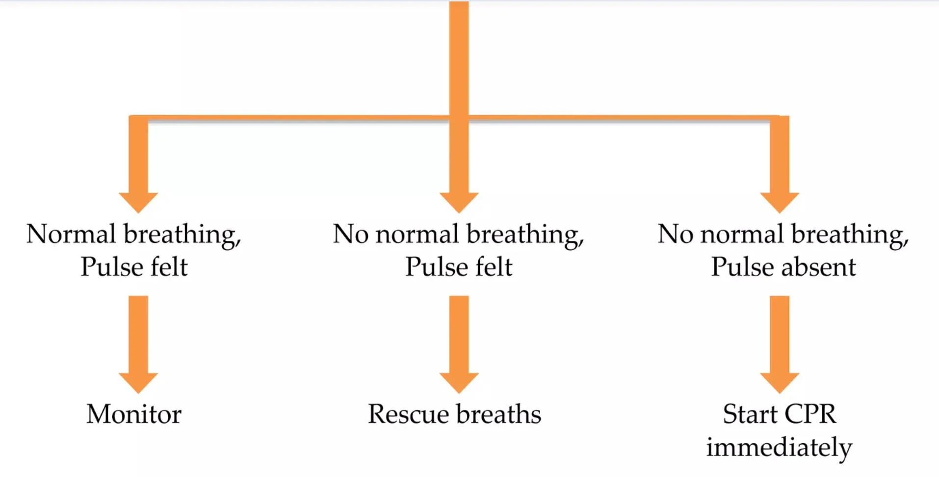 image about Adult basic life support