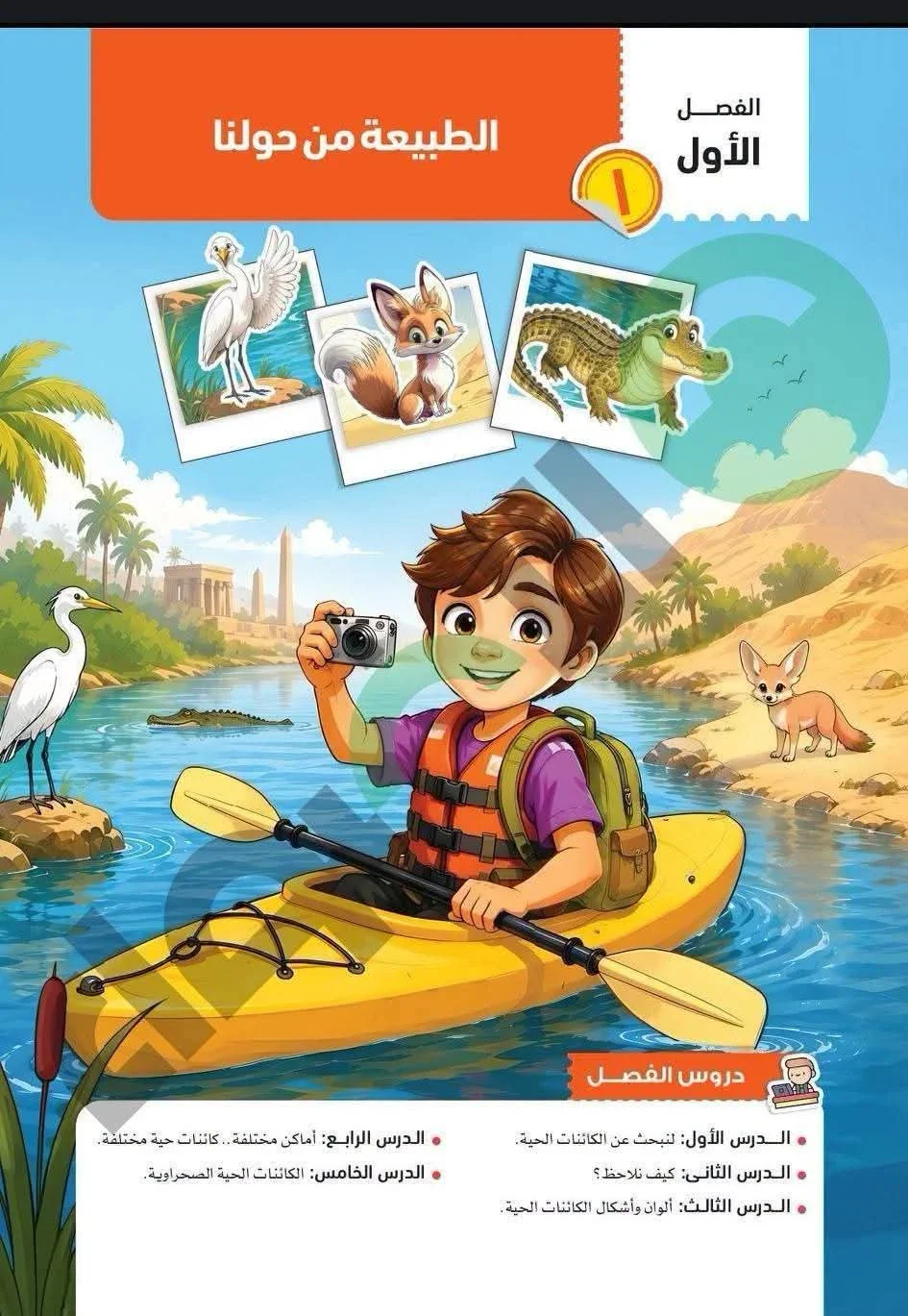 image about تحميل كتاب الأضواء علوم الصف الرابع الابتدائي الترم الأول 2027 PDF أحدث إصدار | شرح كامل ومراجعة شاملة