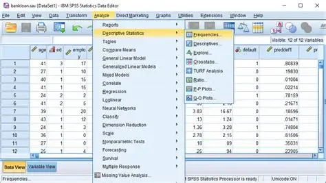 image about برنامج SPSS أداة تحليلية متقدمة في البحوث الاجتماعية والاقتصادية