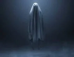 image about آخر صورة قبل اختفائها.. انعكاس غامض كشف سرًا لم يستطع أحد تفسيره