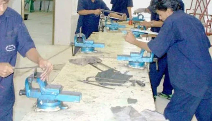 image about التدريب المهني بوزارة العمل المصرية: تعلّم مهنة واحصل على شهادة معتمدة مجانًا
