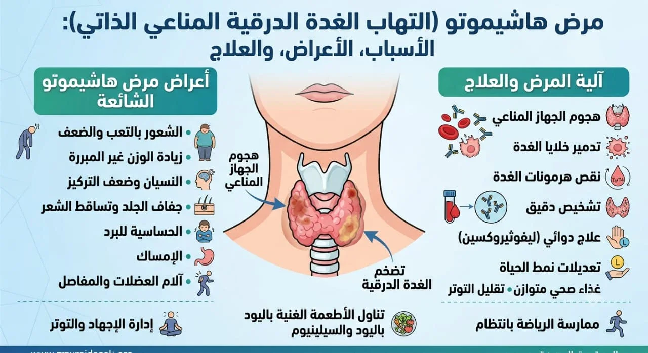 image about الغدة الدرقية: وظائفها وأهم أمراضها وأعراضها وطرق الحفاظ على صحتها