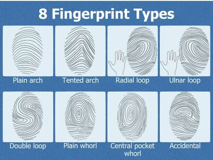 image about البصمات في الإنسان والحيوان والطيور