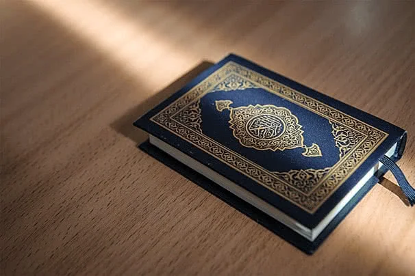 image about الإنسان والقرآن الكريم 