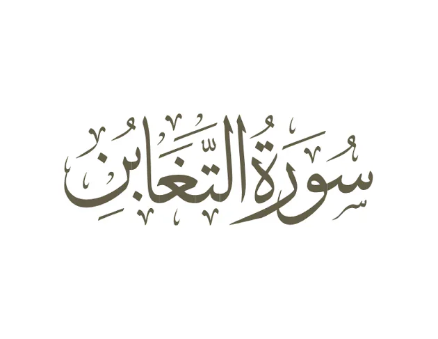 image about شرح سورة التغابن