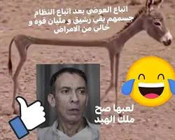 image about العفريت الذي ندم على دخوله البيت
