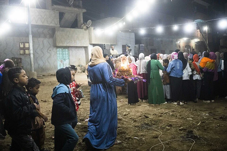 image about ما سر النبتة التي سبقت الفستان الأبيض بآلاف السنين