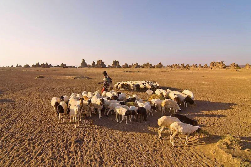 image about السيرة النبوية (الجزء الاول)