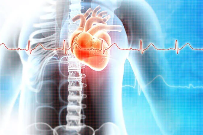 image about امراض القلب علامات لازم تعرفها و طرق بسيطة للوقاية 