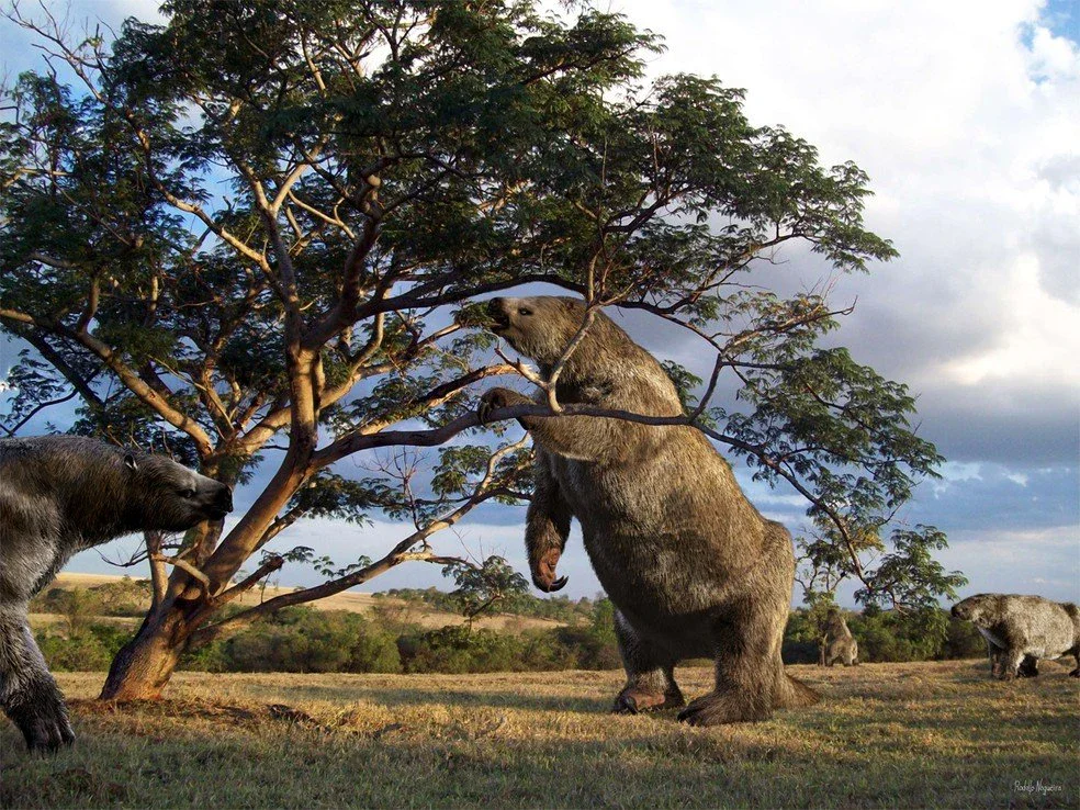 image about The Giant Ground Sloth Tunnels of Brazil Around 10,000 years ago, enormous giant ground sloths lived in Brazil.