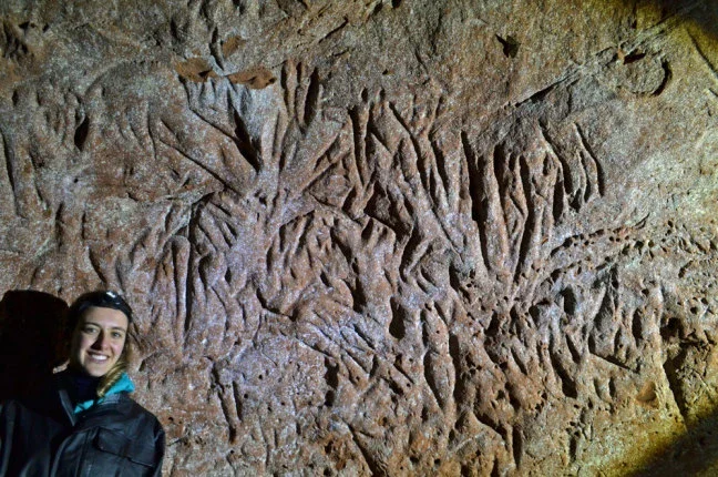 image about The Giant Ground Sloth Tunnels of Brazil Around 10,000 years ago, enormous giant ground sloths lived in Brazil.