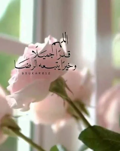 image about بين العطاء والمنع… أين يكون إكرام الله؟