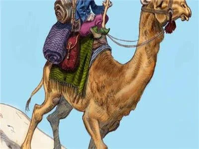 image about هل تعرف القصة وراء هذه الأمثال الشعبية 2؟