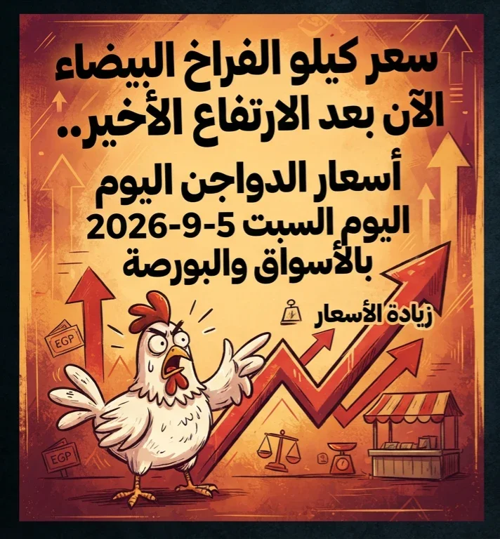 image about 🐔 سعر كيلو الفراخ البيضاء الآن بعد الارتفاع الأخير.. أسعار الدواجن اليوم السبت 5-9-2026 بالأسواق والبورصة
