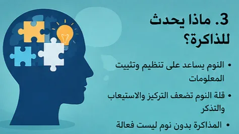 image about ماذا يحدث لجسمك إذا لم تنم لمدة 72 ساعة؟ ما الذي يحدث في اليوم الثالث؟