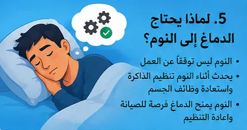 image about ماذا يحدث لجسمك إذا لم تنم لمدة 72 ساعة؟ ما الذي يحدث في اليوم الثالث؟