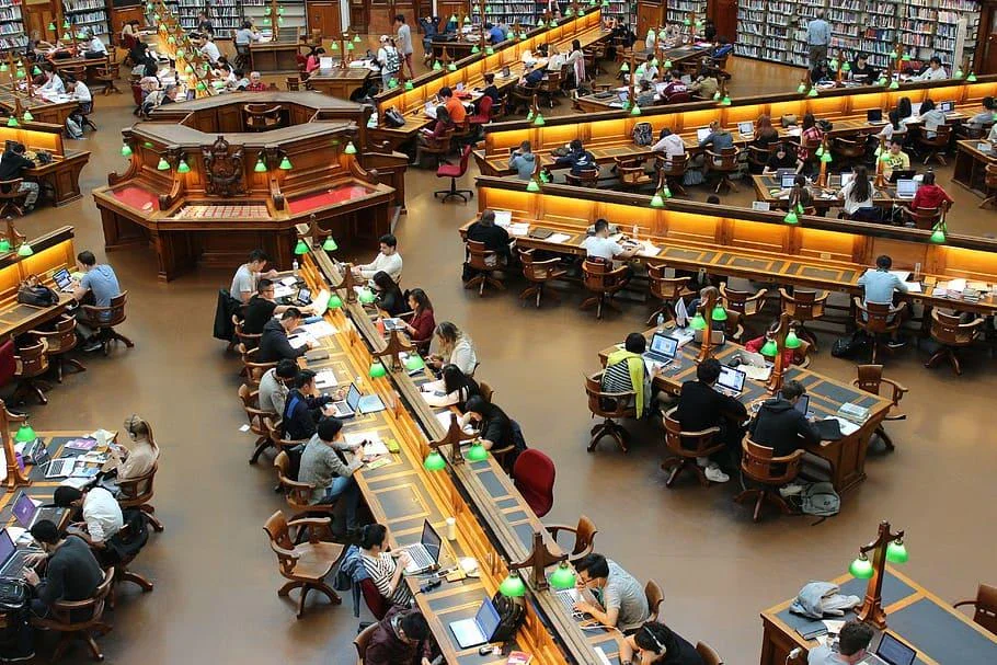 image about Colleges in Australia: The Best Study Options, Popular Majors and Pathways for International Students