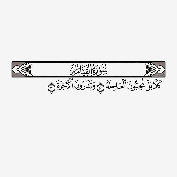image about رسالة سورة القيامة