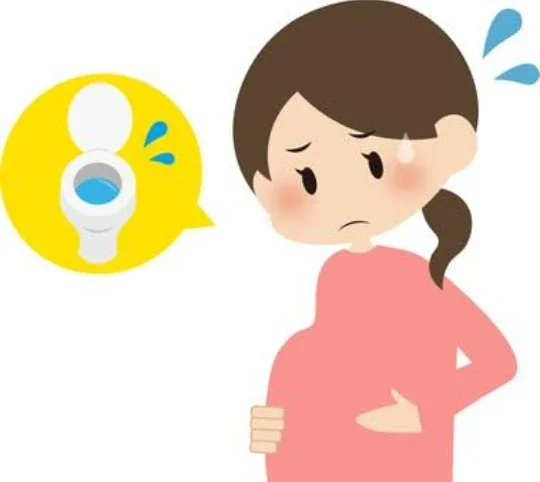 image about كثرة التبول أثناء الحمل: متى تكون طبيعية ومتى تشير إلى مشكلة صحية؟