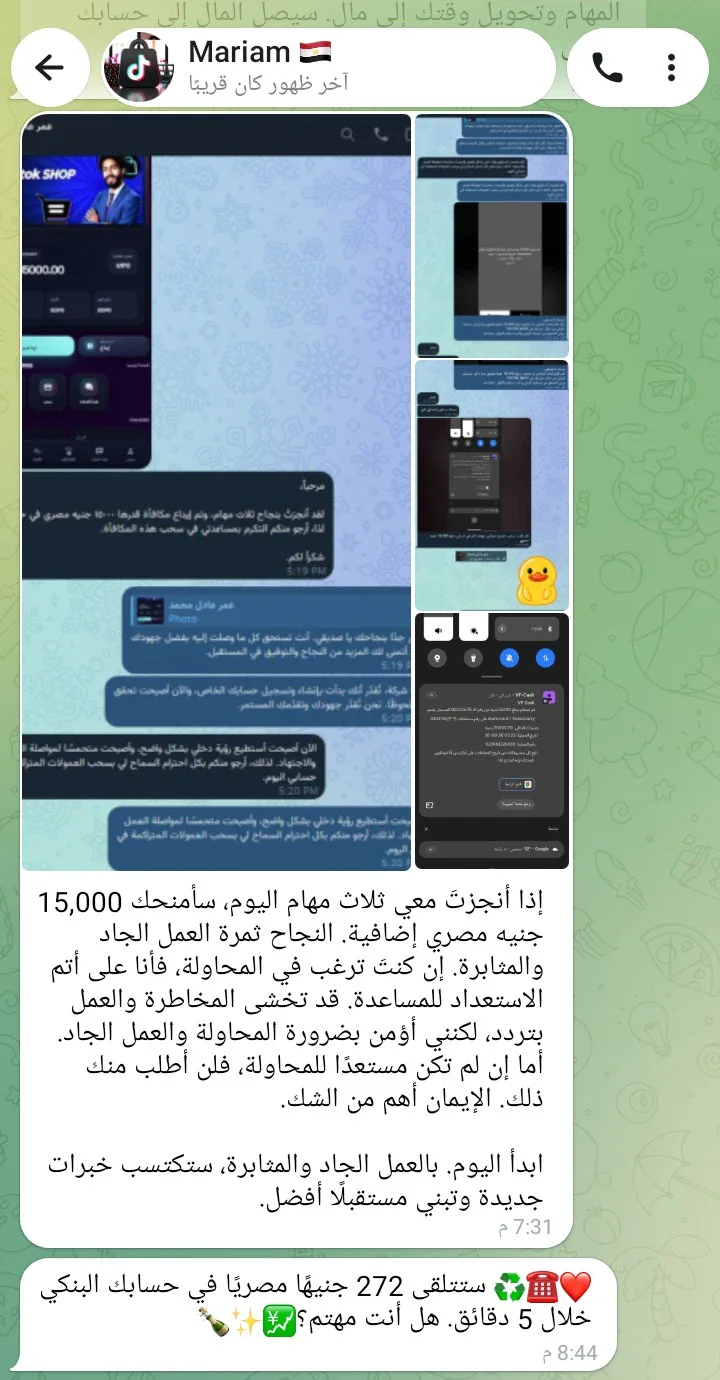 image about حقيقة أرباح مهام تيك توك الوهمية
