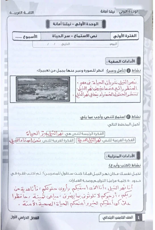 image about تحميل حل كتاب التقييمات لغة عربية للصف الخامس الابتدائي الترم الأول 2027 PDF