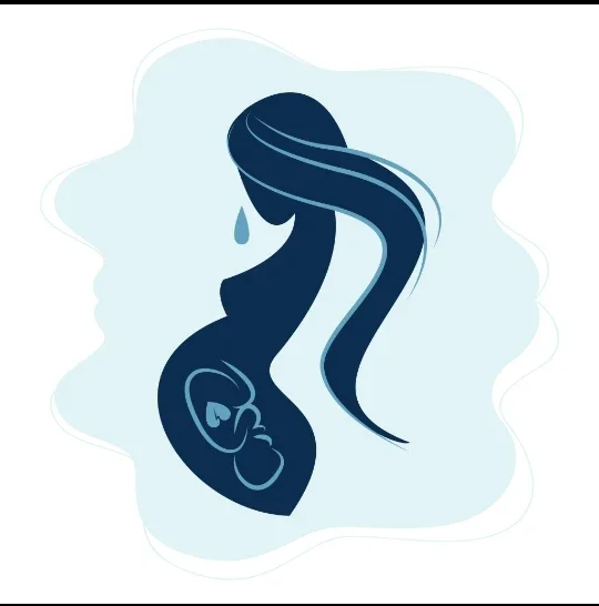 image about الإجهاض المبكر: لماذا يحدث أحيانًا رغم أن كل شيء بدا طبيعيًا؟
