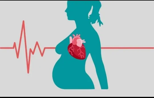 image about ماذا يحدث داخل جسم المرأة أثناء الحمل؟ تغيّرات هرمونية ودموية ومناعية لا تُرى بالعين