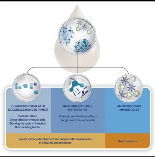 image about Breastfeeding: Why Does Breast Milk Change as the Baby Grows? Evidence-Based Benefits