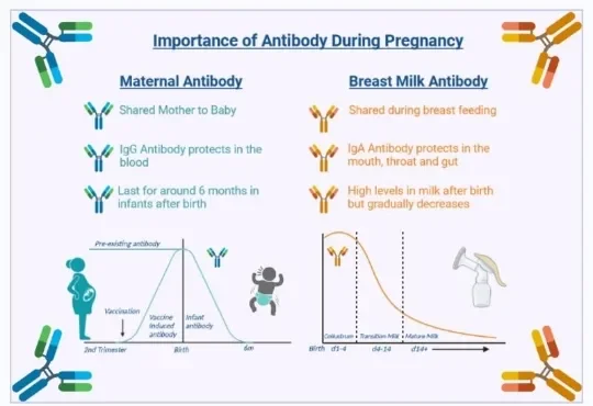 image about Breastfeeding: Why Does Breast Milk Change as the Baby Grows? Evidence-Based Benefits