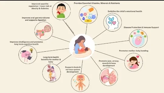 image about Breastfeeding: Why Does Breast Milk Change as the Baby Grows? Evidence-Based Benefits