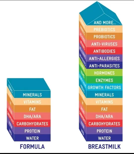 image about Breastfeeding vs. Formula Feeding: Health and Nutritional Differences