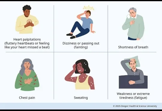 image about Rapid Heartbeat: Causes, Symptoms, and When to See a Doctor