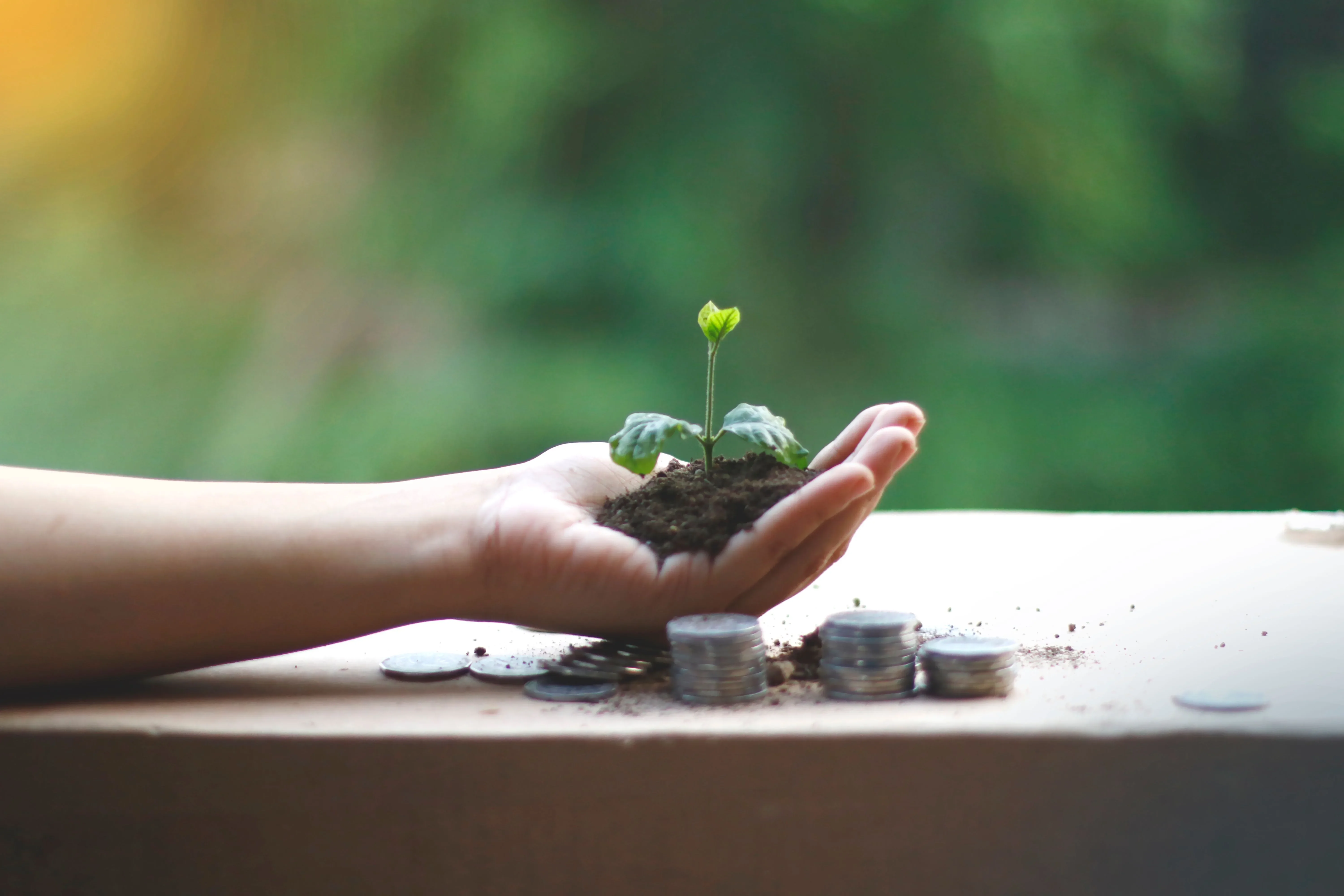 image about كيف تبدأ الاستثمار بمبلغ صغير؟7خطوات مهمة للمبتدئين قبل أن تستثمر أموالك