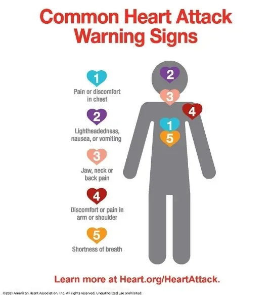 image about Heart Attack: Symptoms, Causes, and When It Becomes an Emergency
