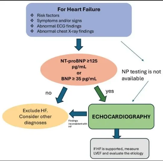 image about Heart Failure: Symptoms, Causes, Diagnosis, and Treatment