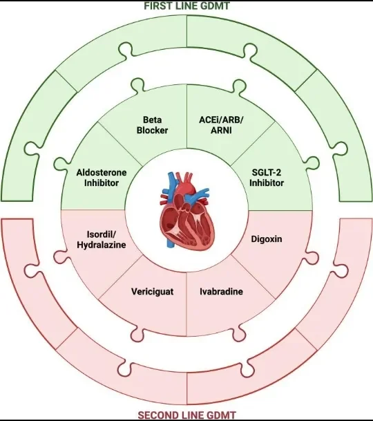 image about Heart Failure: Symptoms, Causes, Diagnosis, and Treatment