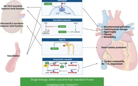 image about Heart Failure: Symptoms, Causes, Diagnosis, and Treatment