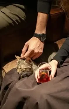 image about صداعها أحلى حاجة في يومي اسكريبت خناقة القهوة حنين ورعد كامل