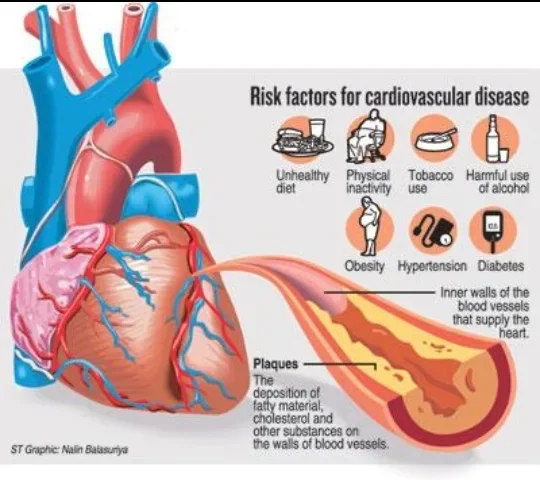 image about Can Heart Deterioration Be Halted Before Reaching a Critical Stage? What Modern Treatments Say