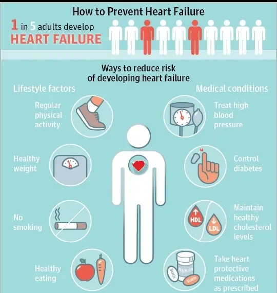 image about Can Heart Deterioration Be Halted Before Reaching a Critical Stage? What Modern Treatments Say